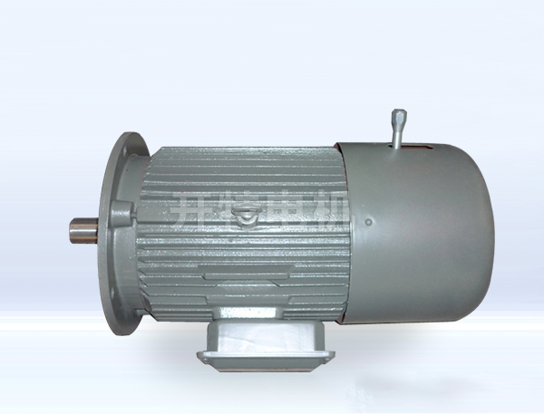 YEJ系列電磁制動三相異步電機